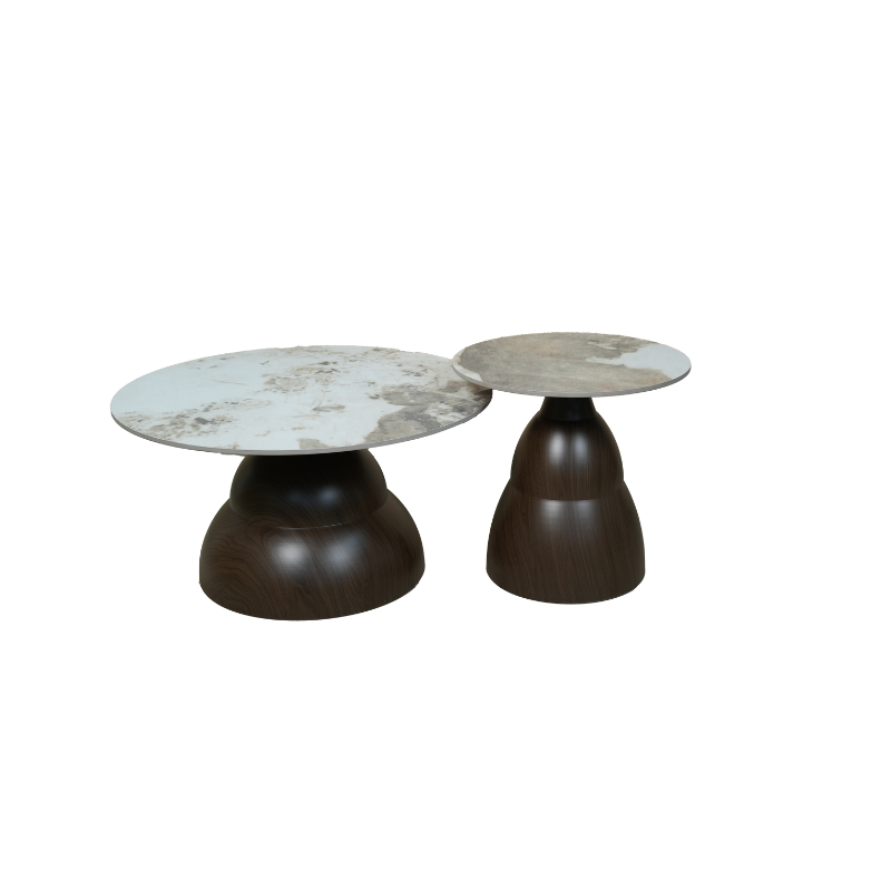 Designer Coffee Table (Brown)