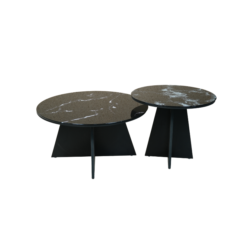 Contemporary Coffee Table