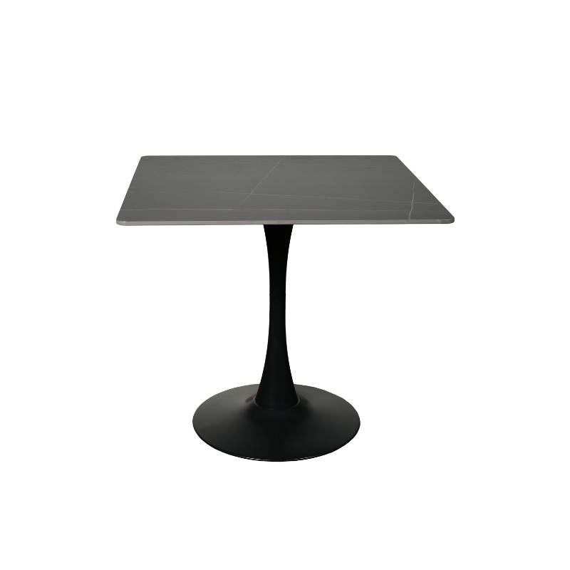 Designer Dining Table (2)
