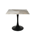 Stylish Dining Table (2)