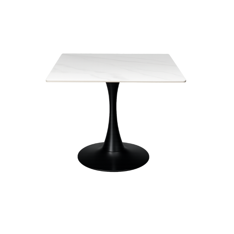 Modern Dining Table (2)